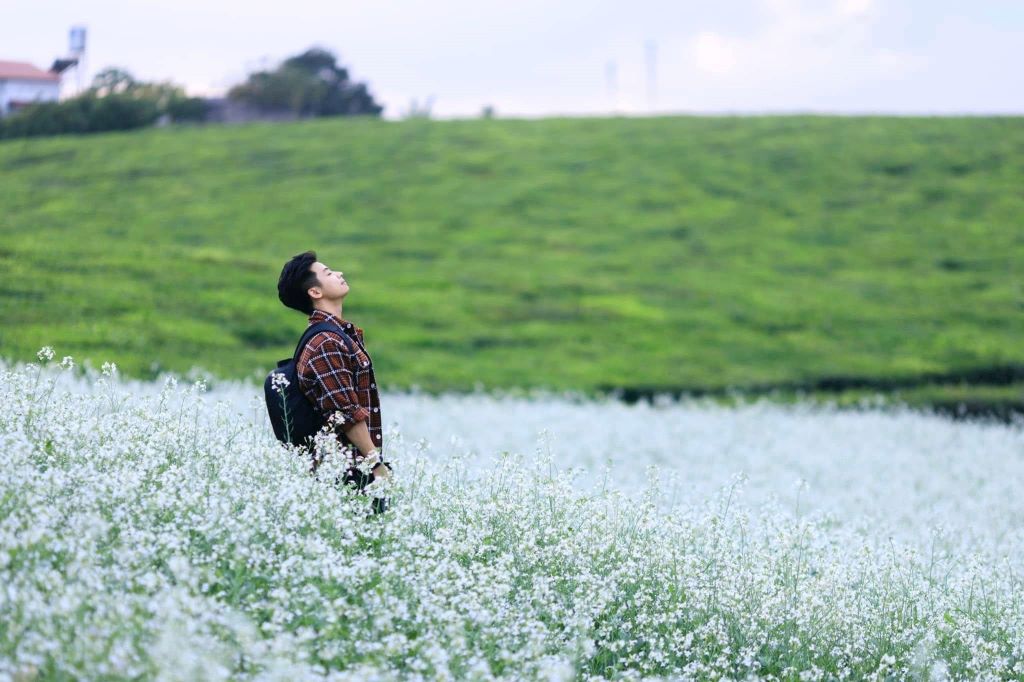 Đồi chè Tân Lập.